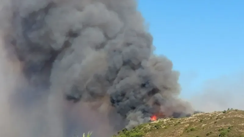 Antalya'daki orman yangını 3 saatte kontrol altına alındı!