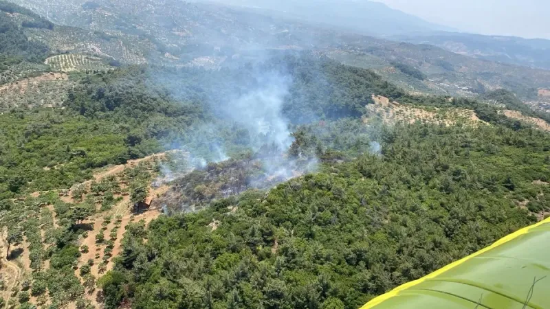 Aydın'da Korkutan Yangın! Alevler Kontrol Altına Alınabildi Mi?