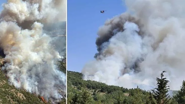 Balıkesir ve Çanakkale'de orman yangını: Havadan ve karadan müdahale ediliyor