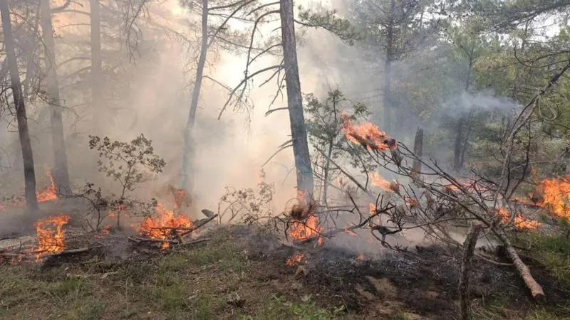 Bolu’da ormanlık alana düşen yıldırım yangına neden oldu