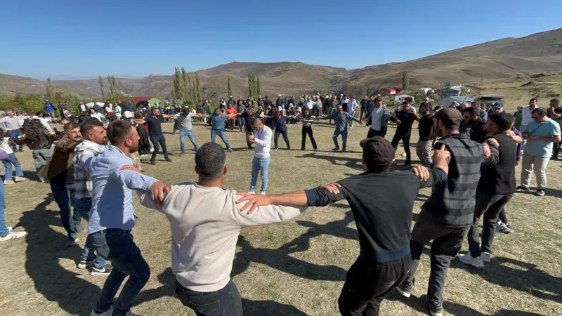 Cancur Eriği Festivali: Ardahan'da Hasat Coşkusu!