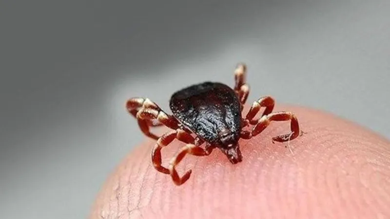 Çorum'da KKKA hastalığı şüphesiyle tedavi gören kişi hayatını kaybetti