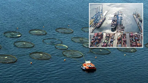 Doğu Karadeniz'in 5 aylık su ürünleri ihracatı 69,8 milyon doları aştı
