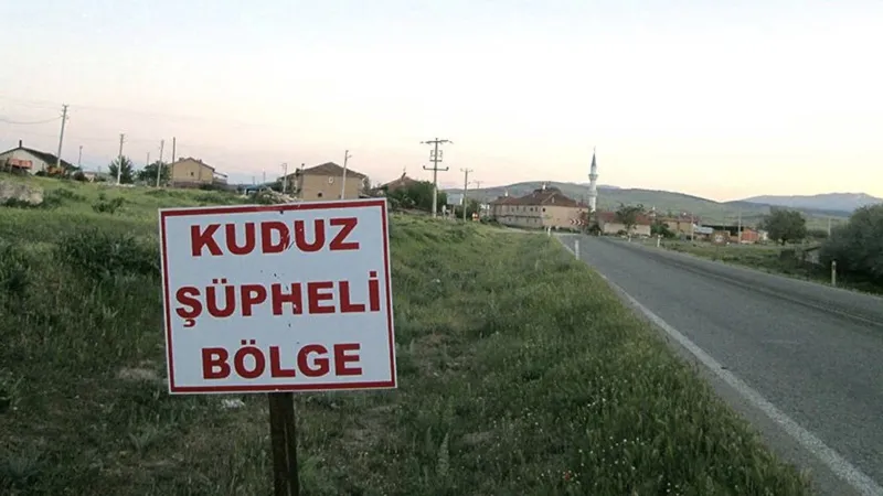 Hatay'da 4 mahalle için kuduz karantinası kararı
