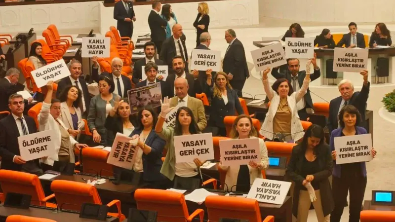 Hayvanlara Şiddet Artıyor! Cezalar Caydırıcı Değil mi?
