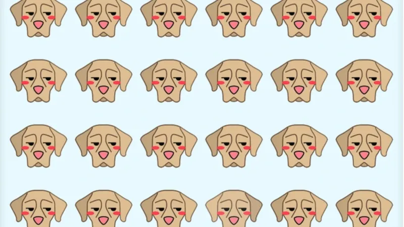 Hayvan severler bile aradaki farkı anlayamaz! Resimdeki farklı köpeği 6 saniyede bulmak için dahi olmak gerek