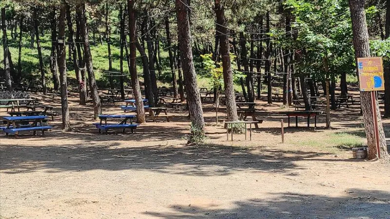 İstanbul Valiliği orman yangınlarına karşı alınan tedbirleri duyurdu: Belli bölgelerde 23 Haziran ile 15 Ekim arası ateş yakmak yasak