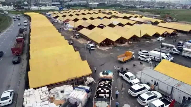 İstanbul'da Kurbanlık Pazarı Kuruldu! Fiyatlar Dudak Uçuklatıyor!