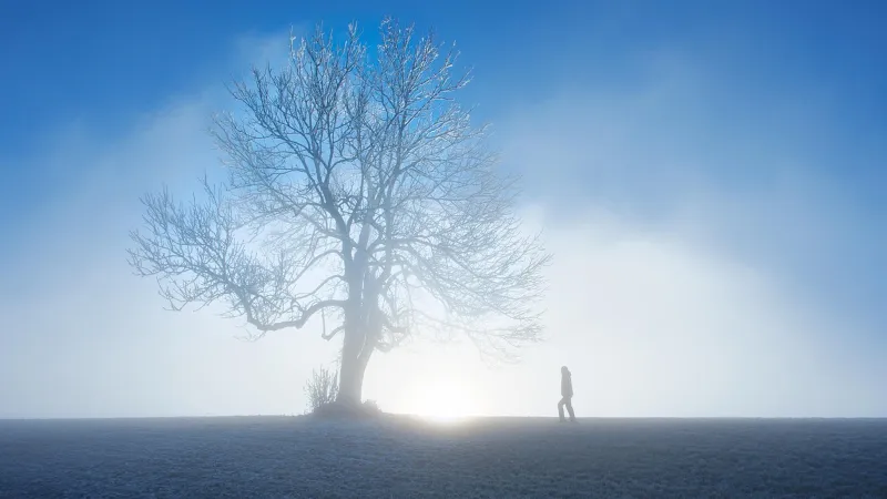 23 Şehirde Sis Alarmı! Meteoroloji'den Kritik Uyarı