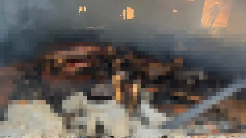 Ağılda Faciayı Getiren Yangın! 42 Hayvan Can Verdi!
