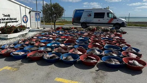 2 Milyonluk Vurgun! Arnavutköy'de 900 Kalkan Balığına El Konuldu