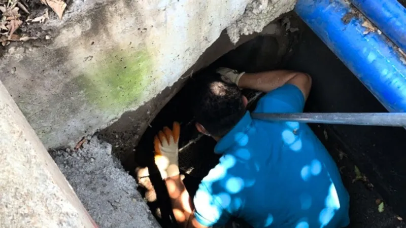 Diyarbakır’da Kanalizasyon Borusuna Sıkışan Kuzu Kurtarıldı