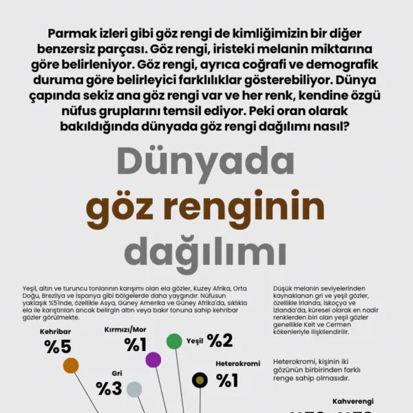 Göz Rengi Sırrı Çözüldü! Dünyada En Yaygın Göz Rengi Hangisi?