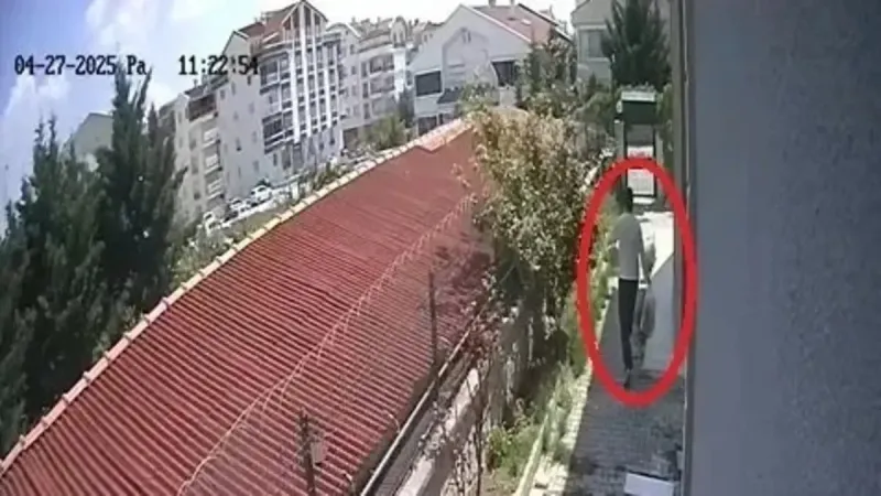 Hayvan Katili Doktor Tutuklandı! Köpeğe Şiddet Anı Kamerada!