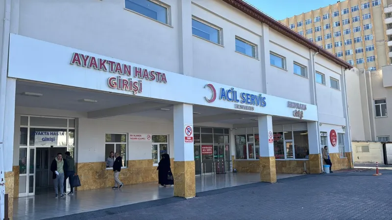 Sivas'ta Ayı Saldırısı! Kayıp Hayvanlarını Ararken Şoke Eden Olay
