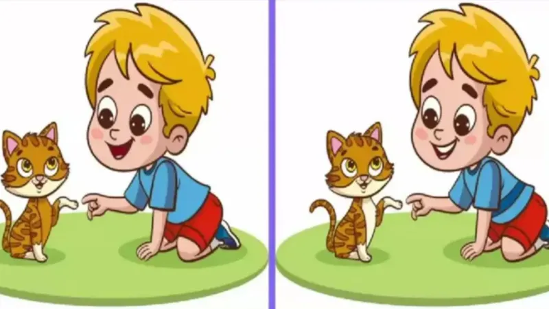 Yavru kedi ile tanışan iki çocuk arasındaki 3 farkı sadece yüksek IQ'su olanlar 12 saniyede buluyor