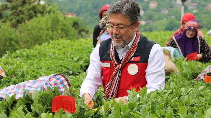 Yumaklı” 1 milyon 300 bin ton rekölte bekliyoruz”